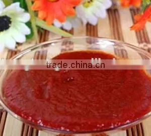 Hot Selling Chilli Paste Making Machine for New Design thumbnail-2