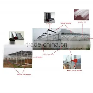 Multi-span Tunnelgreenhouse for Vagetable thumbnail-4