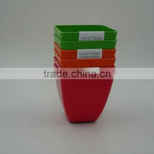 Biodegradable Bamboo Mini Plant Pot and Flower Pot thumbnail-6