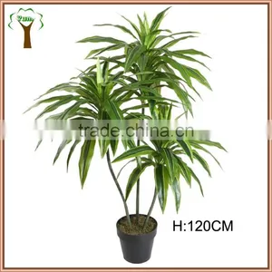 Mini Artificial Dracaena Plant in 4' High for Home Decoration thumbnail-1