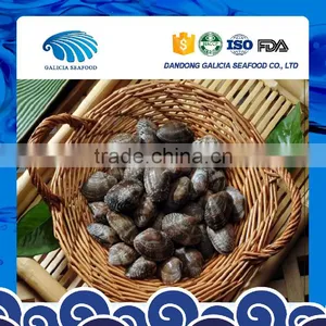 Frozen Vacuumed Variegated Clam With Favorable Price thumbnail-1