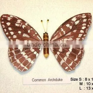 Realistic Handmade Handpainted Butterflies Collectibles (made of Rubber Leafs) thumbnail-1
