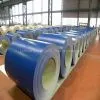 RAL 9010 PPGI Steel Coil-RAL 9010 PPGI Steel Coils Group-RAL 9010 PPGI Steel Coil Producer thumbnail-1