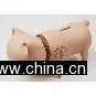 Coin Bank thumbnail-1