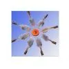 Aquatic Products (6) thumbnail-1