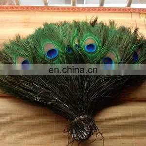 Factory Direct Sale Spot Supply Top Quality Peacock Feather thumbnail-1