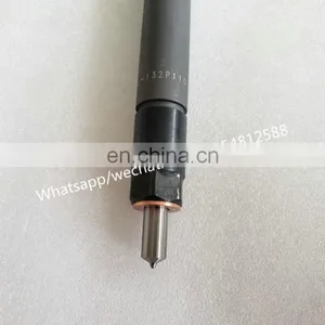 Топливный форсунка дизеля KBEL132P110 для двигателя WEICHAI WD615 thumbnail-2
