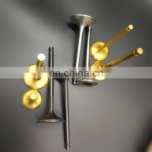 Custom Color and Steel Material Engine Valve For Mitsubishi Mighty Max 6G72 3.0 4x4 Truck thumbnail-6