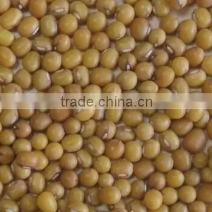 Yellow Mung Bean thumbnail-2