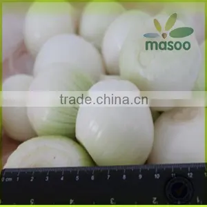 Exporter 2014 New Fresh Yellow Onion to Russia thumbnail-1