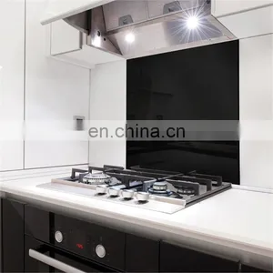6mm Tempered Kitchen Glass Splash Back With Silk Screen Printing thumbnail-4