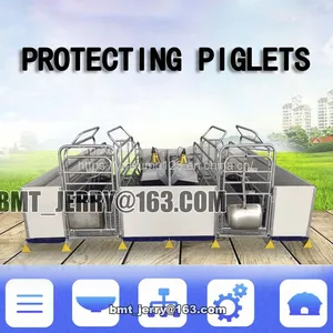 Hot Dip Galvanized Customized Size Sow Farrowing Cage for Swine Farm thumbnail-4