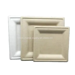 Low Price Biodegradable Disposable Bagasse ‎‎‎26 x 26 x 1.5 cm Square Dishes, for Barbecue, Birthday or Party. thumbnail-2