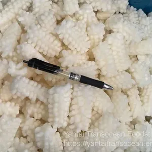 Squid Flower thumbnail-2