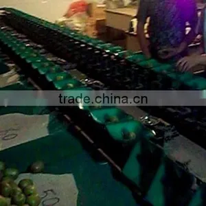Vegetable Weighting Sorting Machine for Tomato, Beans,pear, Kiwi Fruit, Apple thumbnail-1