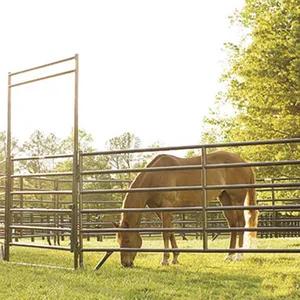 Horse Round Yard Livestock Panel Horse Stable Panels Round Pens thumbnail-3