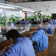 Nanning Millennium Arts And Crafts Co., Ltd. company overview - view 4 thumbnail
