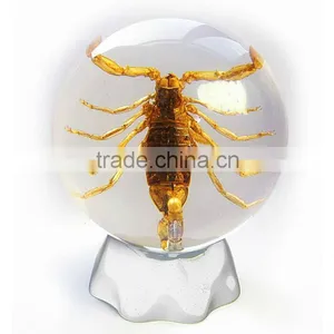 6.0 cm Real Resin Acrylic Marble Ball With Bugs thumbnail-5
