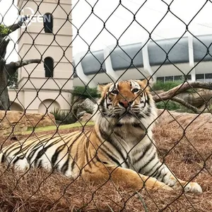 Tiger Fences Mesh