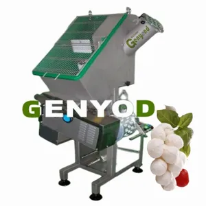 Mozzarella Cheese Cutting Cooking Stretching Moulding Making Machine thumbnail-3