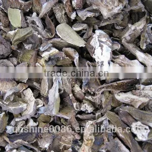 Dried Mushroom thumbnail-6