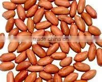Chinese Roasted and Salted Peanut Kernels thumbnail-1