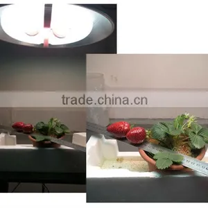 Vertical Grow Systems Hydroponics 360w Led Grow Light thumbnail-3