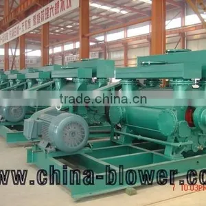 2BE Series Liquid Ring Vacuum Pump Phosphate Fertilizer Plant Pump 2BV thumbnail-1