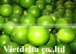 Fresh Green Lemon & Lime (Seed and Seedless) thumbnail-1