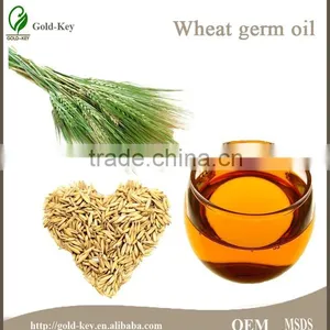 Hot Sale Wheat Germ Oil, Body Massage Oil for Woman, Pure Wheat Germ Extract Oil thumbnail-1