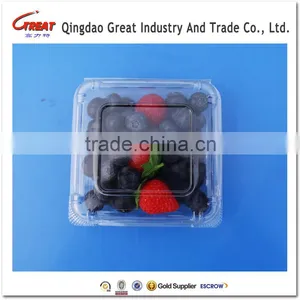 Regular Plastic Small Square Fruit Bluebrries Container thumbnail-1