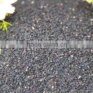 Seseam Seeds,China Seseam Seeds.seseam Seeds From Africa thumbnail-1