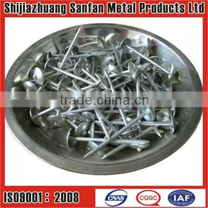 Manufacturer Galvanized Umbrella Head Roofing Nails thumbnail-1