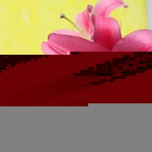 2016 New Style Natural Outdoor Mosquito Wristband Mosquito Bracelet Quality Choice thumbnail-5