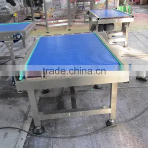 Food Grade Belt Conveyor for Food Production Line thumbnail-1