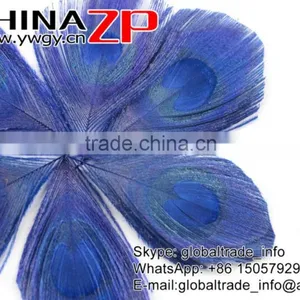 Gold Supplier ZPDECOR Bulk Sale Top Dyed Royal Blue Trimmed Peacock Feathers Eyes for Decoration thumbnail-2