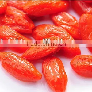 Organic Goji Berries thumbnail-3