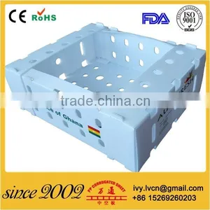 Customized Foldable Corrugated Plastic Storage Box thumbnail-2