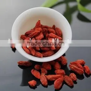 Hot Sale Pure Natural Goji Berry/ 100% Fresh thumbnail-2