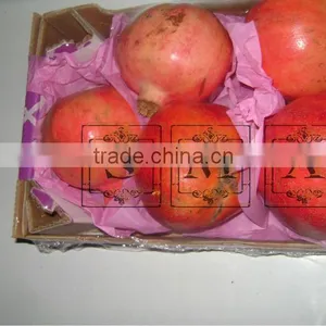 Pomegranate thumbnail-5