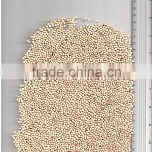 WHITE SORGHUM thumbnail-1