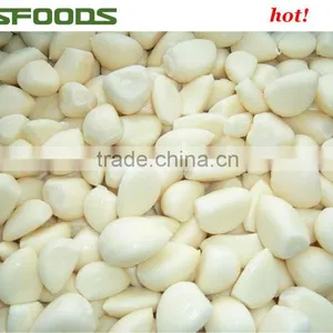 IQF Frozen Garlic Dice Garlic Minced Garlic Cube HOT SALE thumbnail-5