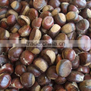Fresh Sweet Chestnut for Sales thumbnail-3