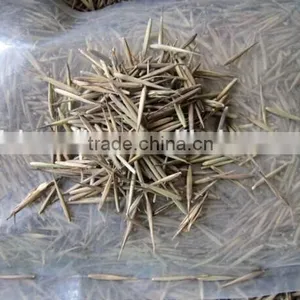 Moso Bamboo Seeds For Cultivation thumbnail-2