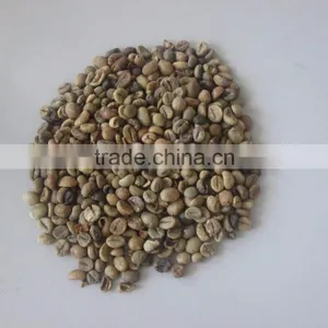 VIETNAM GREEN ROBUSTA COFFEE HIGH GRADE- EMAIL:EMILYTRAN@VISIMEX.COM thumbnail-2