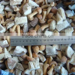 Whole IQF Shiitake Mushroom China Origin thumbnail-4