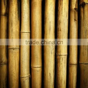 Variosu Size Bamboo Poles thumbnail-5