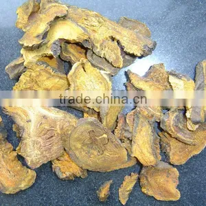 Chinese Rhubarb Roots thumbnail-1