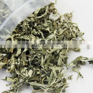 Mugwort Leaf thumbnail-1
