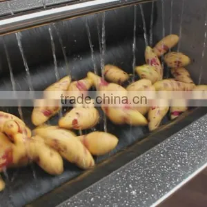 MSTP-80 Multipurpose Potato Washing and Polishing Peeling Machine thumbnail-2